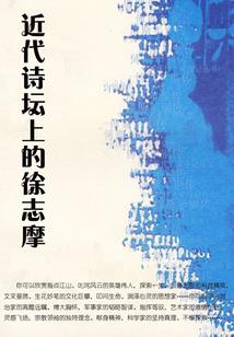 山寨小官人