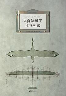 四界倾世帝师