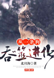 我是一个术士