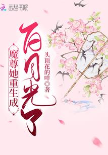 孪生姐姐