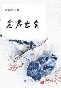 无月寻仙记