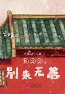 枫林冰忆丶闪电十一人
