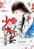 藏爱青春