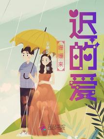 魔法大陆的机械师